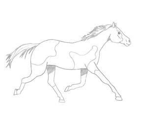 como desenhar um cavalo