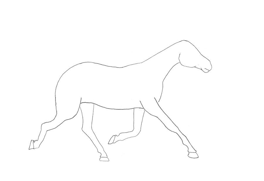 como desenhar um cavalo