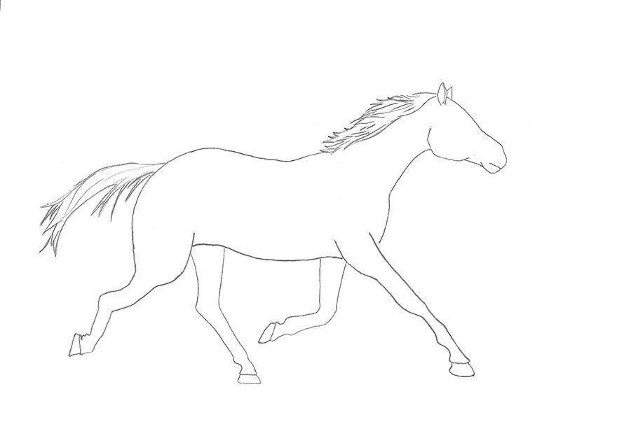 Como desenhar um cavalo de frente - Como desenhar