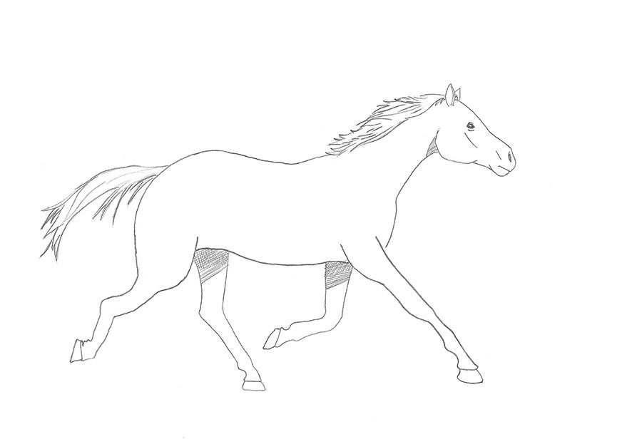 como desenhar um cavalo