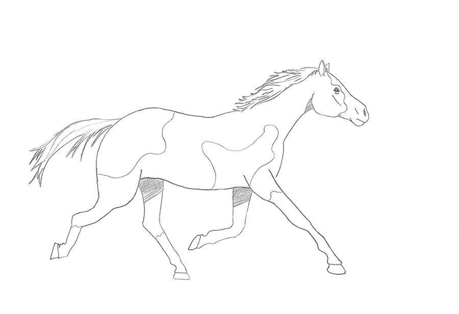 Como desenhar um cavalo correndo  Tutorial de desenho passo a passo