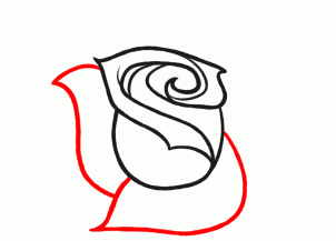 como desenhar uma rosa
