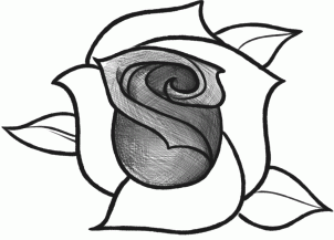 como desenhar uma rosa - 7