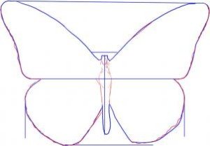 como desenhar uma borboleta