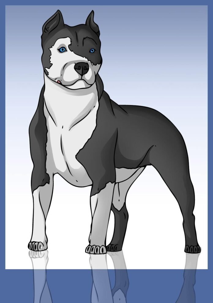 como desenhar um cachorro pitbull - 1 como desenhar um cachorro pitbull