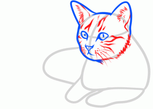 como desenhar gatos