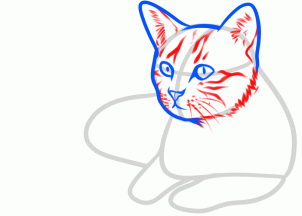 Como Desenhar um Gato - Esboço de um desenho de um Gato - Desenhos Realistas