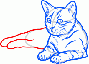 como desenhar um gato