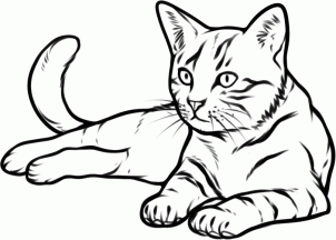 Como desenhar um gato deitado  Desenhos de gatos, Desenhos de animais  realistas, Esboços de animais