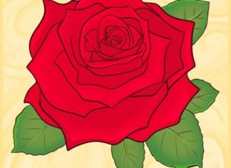 Como Desenhar Rosas (Muito Fácil) como desenhar rosas
