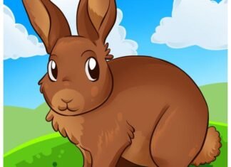 Como Desenhar Um Coelho (Muito Fácil) como desenhar um coelho