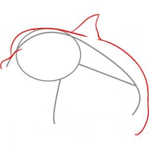 como desenhar um golfinho