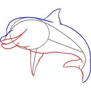 como desenhar um golfinho
