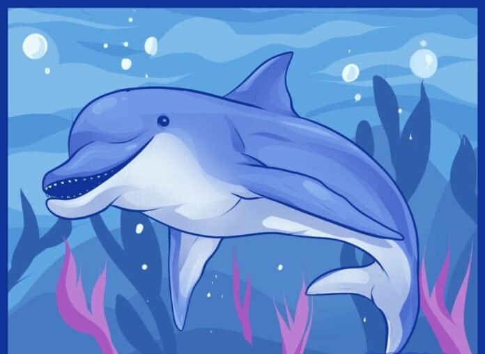 como desenhar um golfinho como desenhar um golfinho