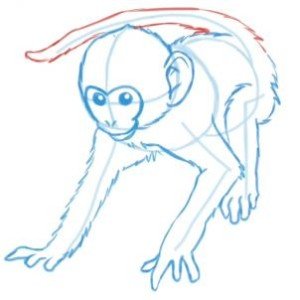 Desenho macaco em 2023  Desenho, Desenho realista, Desenhos