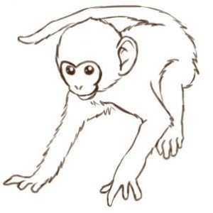 ▷ Como desenhar um macaco [2023] Passo a Passo - Desenhos Para Desenhar