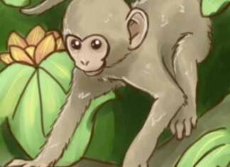 Como Desenhar Um Macaco (Muito Fácil) como desenhar um macaco