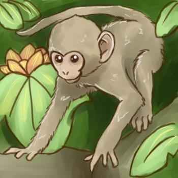 Como desenhar um macaco - Guias fáceis de desenho passo a passo - Howtos de  desenho