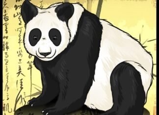 Como Desenhar Um Panda (Muito Fácil) como desenhar um panda