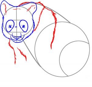 como desenhar um panda