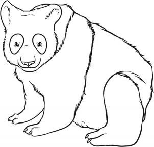 Como desenhar um panda-gigante  Tutorial de desenho passo a passo