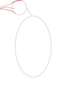 como desenhar um pinguim