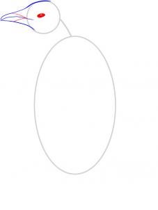 como desenhar um pinguim
