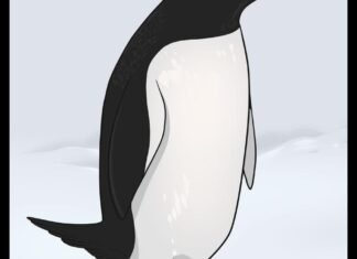 Como Desenhar Um Pinguim (Muito Fácil) como desenhar um pinguim