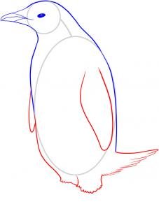 como desenhar um pinguim