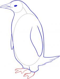 como desenhar um pinguim