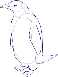 como desenhar um pinguim