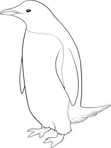 como desenhar um pinguim