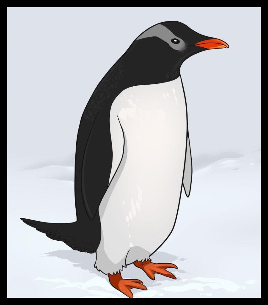 como desenhar um pinguim