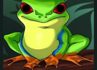 Como Desenhar Um Sapo (Muito Fácil) como desenhar um sapo