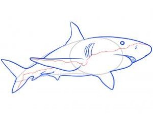 como desenhar um tubarão