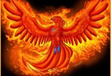 Como Desenhar Uma Fenix (Muito Fácil) como desenhar uma fenix