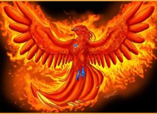 Como Desenhar Uma Fenix (Muito Fácil) como desenhar uma fenix