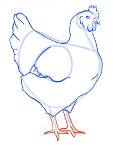 como desenhar uma galinha