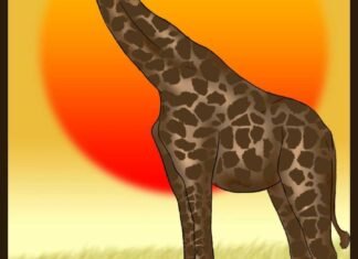 como desenhar uma girafa