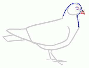 como desenhar uma pomba