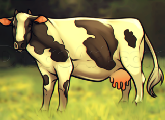como desenhar uma vaca