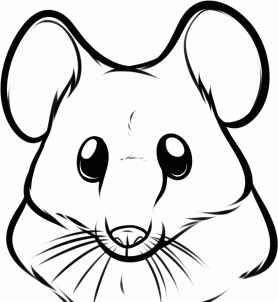 como desenhar um rato