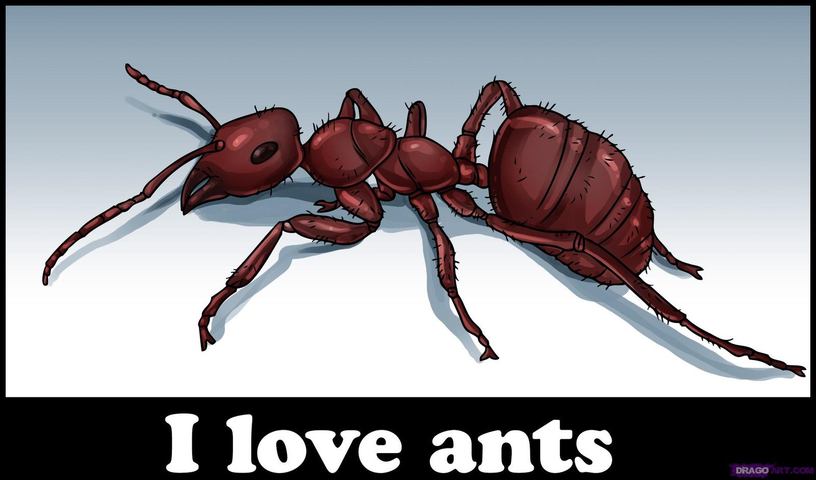 como desenhar uma formiga
