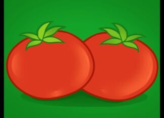 Como Desenhar um Tomate (Muito Fácil) como desenhar um tomate
