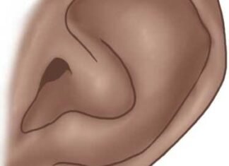 Como Desenhar Uma Orelha (Muito Fácil) como desenhar uma orelha
