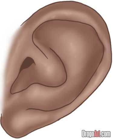 como desenhar uma orelha
