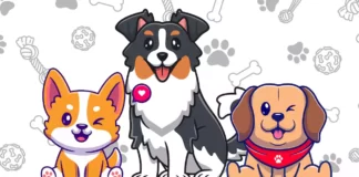 cachorros para colorir