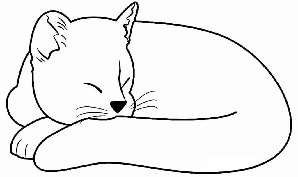 desenhos para colorir de gatos 12