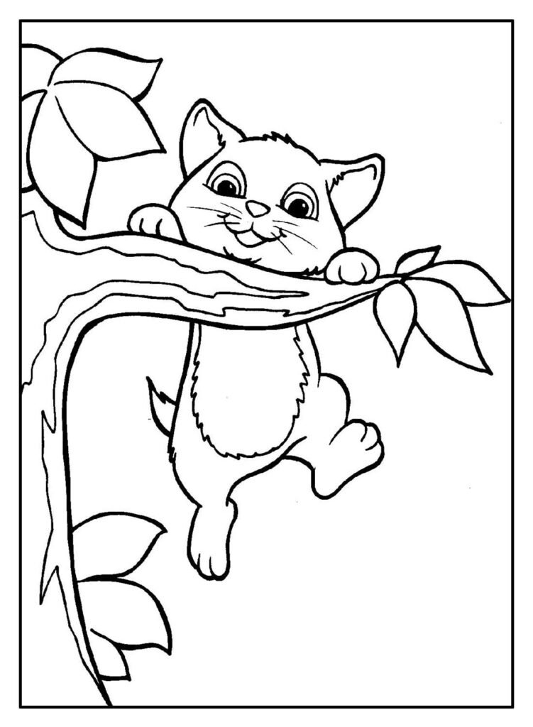 desenhos para colorir de gatos 19