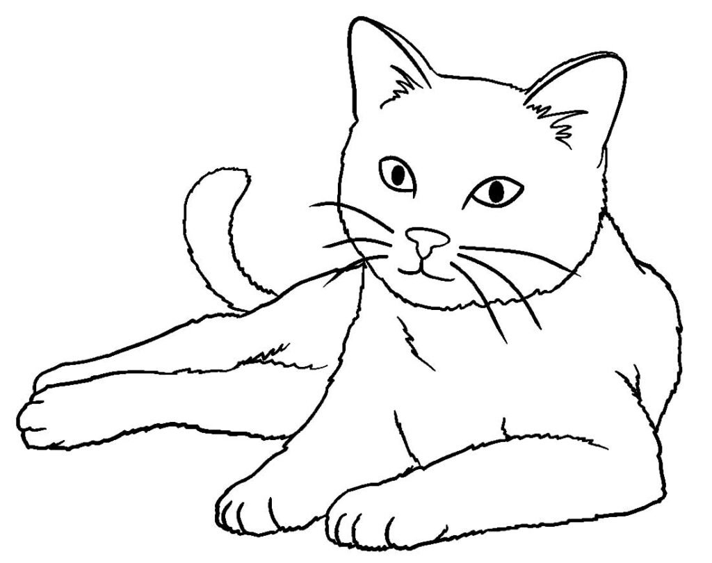 desenhos para colorir de gatos 7